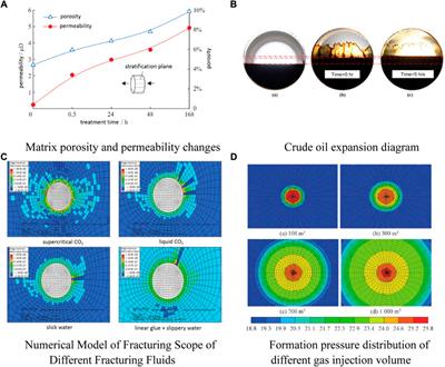 Analysis of the influence of CO2 pre-injection during hydraulic fracturing on enhanced oil recovery in shale reservoirs